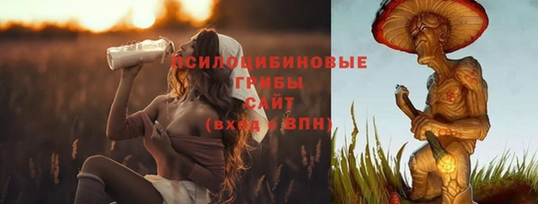 не бодяженный Алексин
