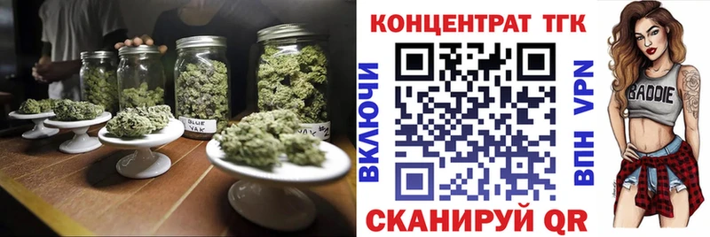 закладки  Вихоревка  ТГК концентрат 